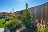 892 Dry Creek Road - Photo 41