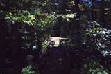 115 Binet Road - Photo 43