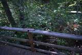 115 Binet Road - Photo 45