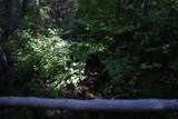 115 Binet Road - Photo 48