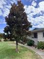 3638 French Avenue - Photo 20
