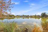8908 Royal Gate Way - Photo 36