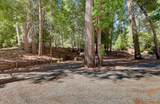 15811 Banner Quaker Hill - Photo 55