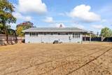2436 Salix Way - Photo 47