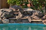 5043 Primrose Drive - Photo 15