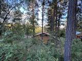 16267 Gold Bug Road - Photo 4