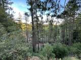 16267 Gold Bug Road - Photo 45
