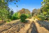 6000 Gold Hill Road - Photo 45