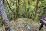 200 Craycroft Ridge Road - Photo 53