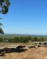 9898 Alamo Drive - Photo 38
