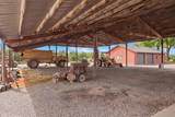 30324 Lone Tree Road - Photo 53