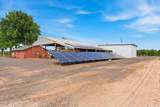 30324 Lone Tree Road - Photo 61
