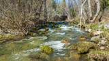 5603 Gold Mountain - Photo 49