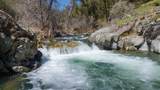 5603 Gold Mountain - Photo 51