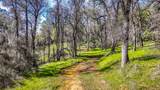 5603 Gold Mountain - Photo 65