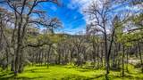5603 Gold Mountain - Photo 66