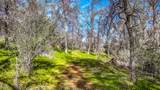 5603 Gold Mountain - Photo 67