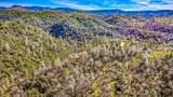 5603 Gold Mountain - Photo 68