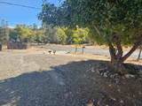 5470 Marshall Road - Photo 20