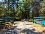 8161 Boondock Trail - Photo 55