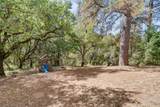 8161 Boondock Trail - Photo 56