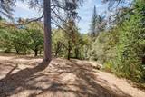 8161 Boondock Trail - Photo 58