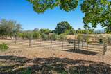 5400 Wise Road - Photo 55