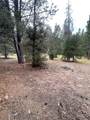 1908 Susquehana Drive - Photo 6