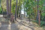 6471 Forest View Drive - Photo 61