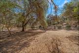 10563 Rim View Circle - Photo 42