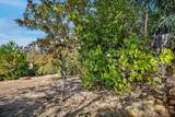 2893 Stagecoach Drive - Photo 66