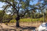 5080 Gold Hill Road - Photo 72