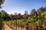 5080 Gold Hill Road - Photo 73