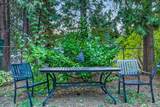 1866 Fern Way - Photo 39