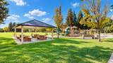 4403 Cherry Blossom Lane - Photo 47