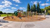 4403 Cherry Blossom Lane - Photo 50