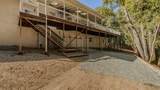 11900 Jackson Pines Dr - Photo 59