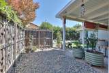 3808 Poinsettia Drive - Photo 51