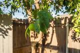 7341 Land Park Drive - Photo 81