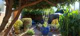 10383 Dolecetto Drive - Photo 26