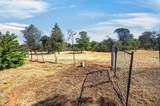 3663 Many Oaks Lane - Photo 46