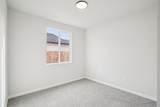 3812 Alexander Circle - Photo 35