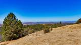 10502 Canyon Creek - Photo 53