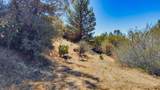 10502 Canyon Creek - Photo 54