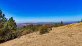 10502 Canyon Creek - Photo 57
