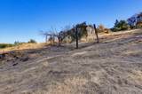 10502 Canyon Creek - Photo 67