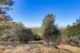 10502 Canyon Creek - Photo 75