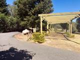8384 Woodman Lane - Photo 33
