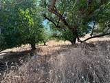3280 Murphys Grade Road - Photo 47