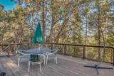 25101 Bear Hill Road - Photo 49